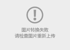 taptap点点体育2025年外省录取情况