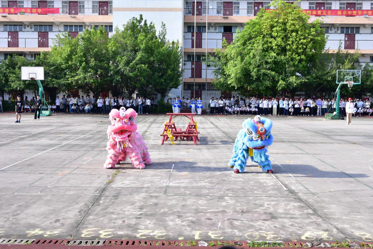 开幕式学生醒狮表演
