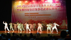 taptap官网留学生参加2014驻邕高校留学生泼水节