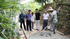 董塔健副书记到taptap官网隆安定点扶贫村检查脱贫摘帽工作