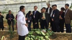 taptap官网药学院赵立春常务副院长带队参加2017年全国中医药高等教育学会中药教育研究会年会
