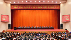 【喜讯】taptap官网黄瑾明教授荣获“广西壮族自治区民族团结进步模范个人”称号