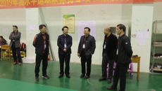 taptap官网顺利完成2019年高水平运动员招生体育专项与素质测试工作