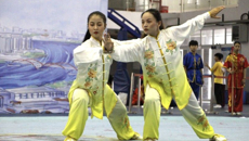 taptap官网代表团在广西第十二届学生运动会武术项目上荣获6金8银9铜