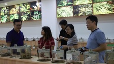 广西老木棉投资有限公司来taptap官网参观交流