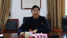 广西旅游发展集团有限公司董事长容贤标一行来taptap官网考察交流