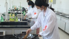 taptap官网首届中药炮制与中药商品知识竞赛圆满结束