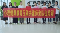 taptap官网组织召开广西高校大学生心理健康教育互助共建师资队伍培训会议