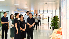 国医大师丁樱一行到taptap官网参观指导