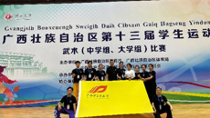 taptap官网学子在广西学生运动会武术比赛中勇创佳绩
