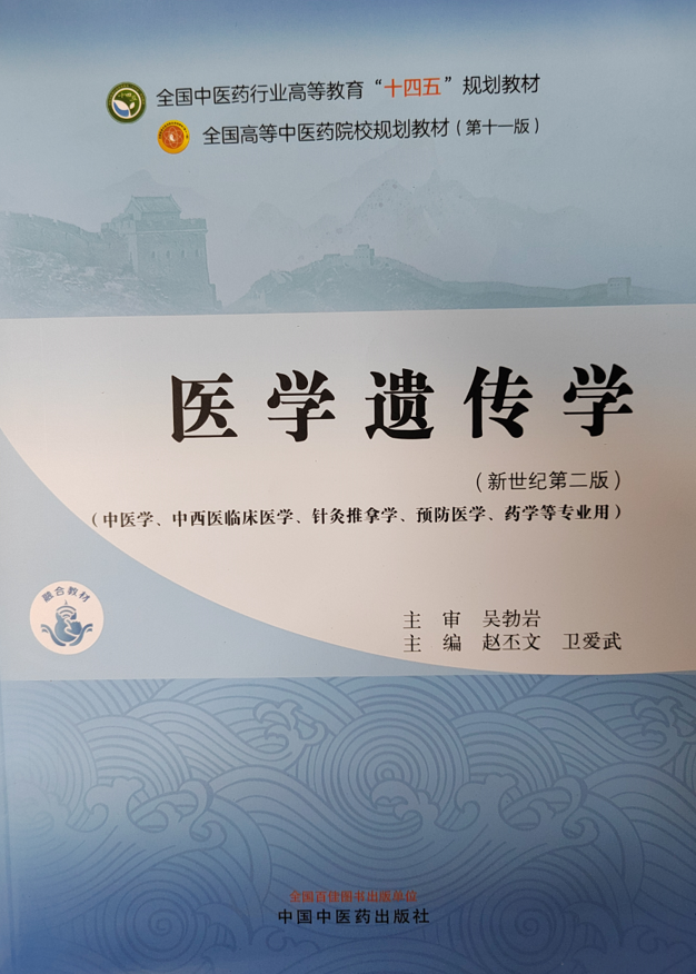 图片13
