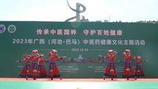 传承中医国粹，守护百姓健康 taptap官网积极参与2023年广西（河池·巴马）中医药健康文化主题活动  