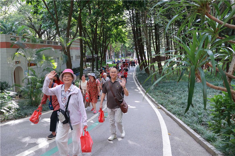 林荫漫步