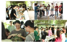taptap官网依托“一站式”学生社区开展“青艾飘香端阳到，药香四溢壮瑶邀” 端午节活动