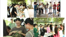 taptap官网依托“一站式”学生社区开展“青艾飘香端阳到，药香四溢壮瑶邀” 端午节活动